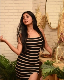 Ajmer Escort