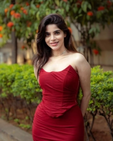 Ajmer Escort Services